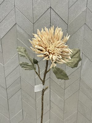 Chrysanthemum 60cm