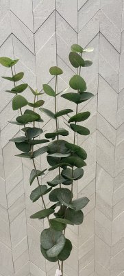 Eucalyptus 60cm